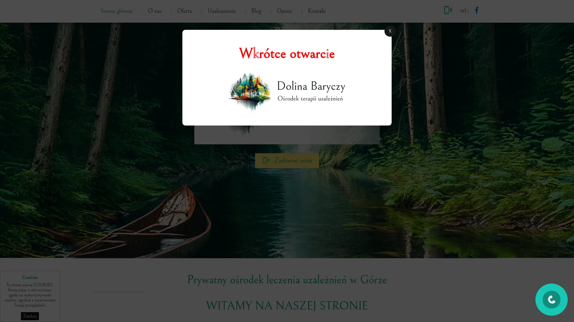 Strona www.terapia-dolina-baryczy.pl